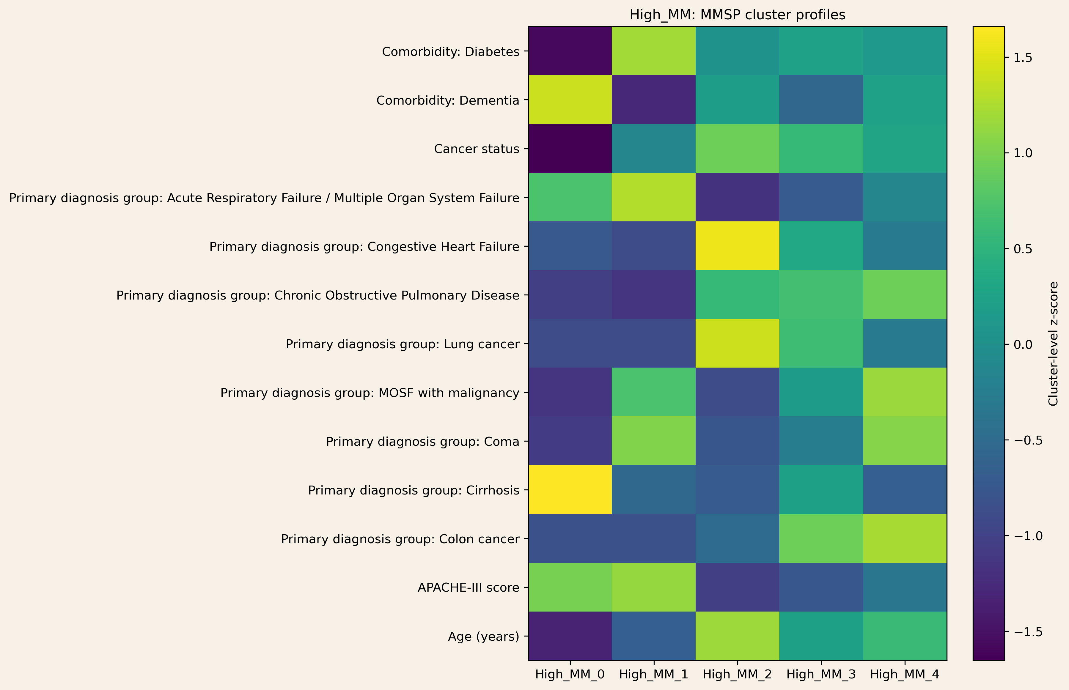 MMSP cluster profiles in the high multimorbidity stratum
