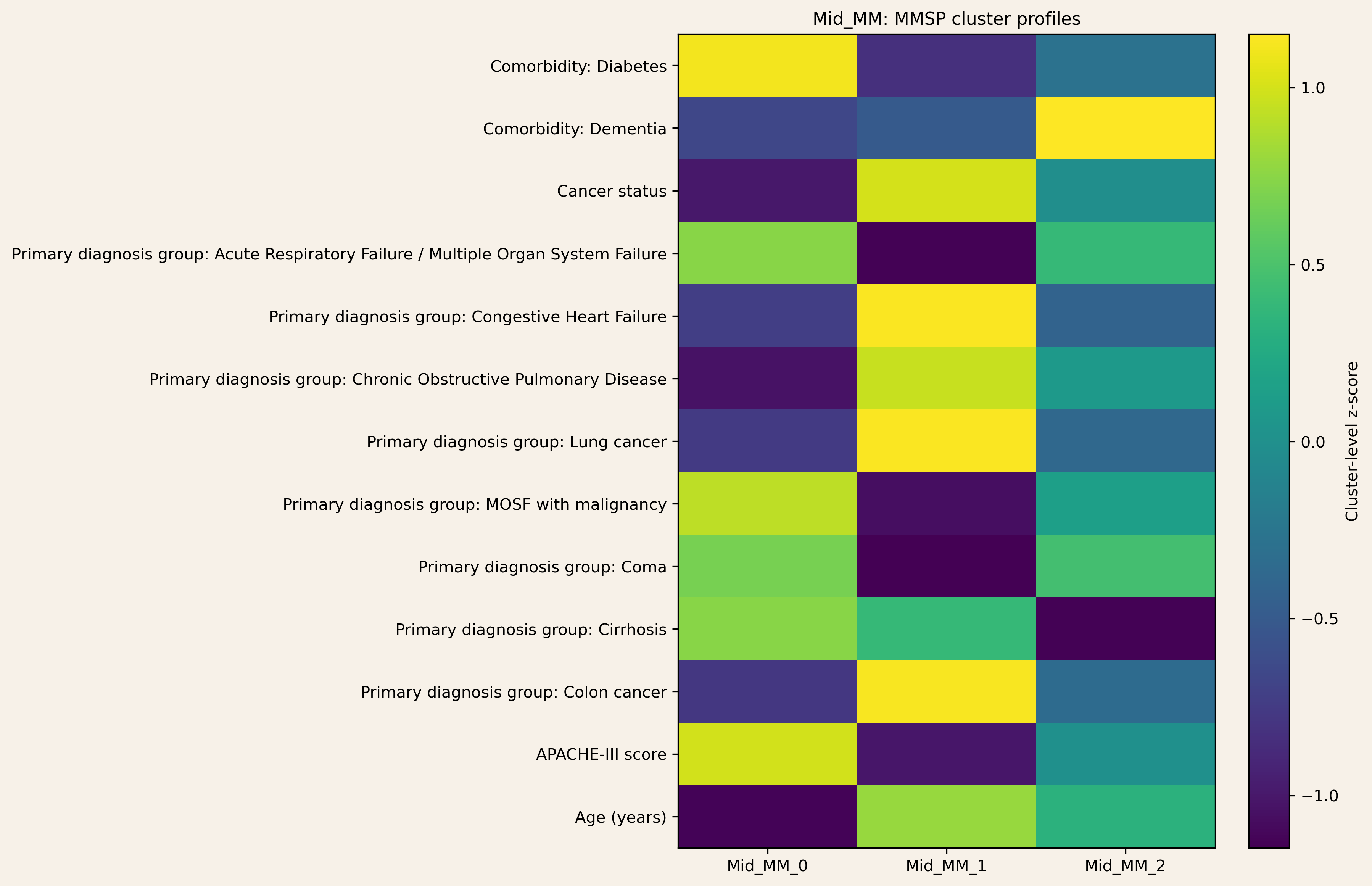 MMSP cluster profiles in the mid multimorbidity stratum