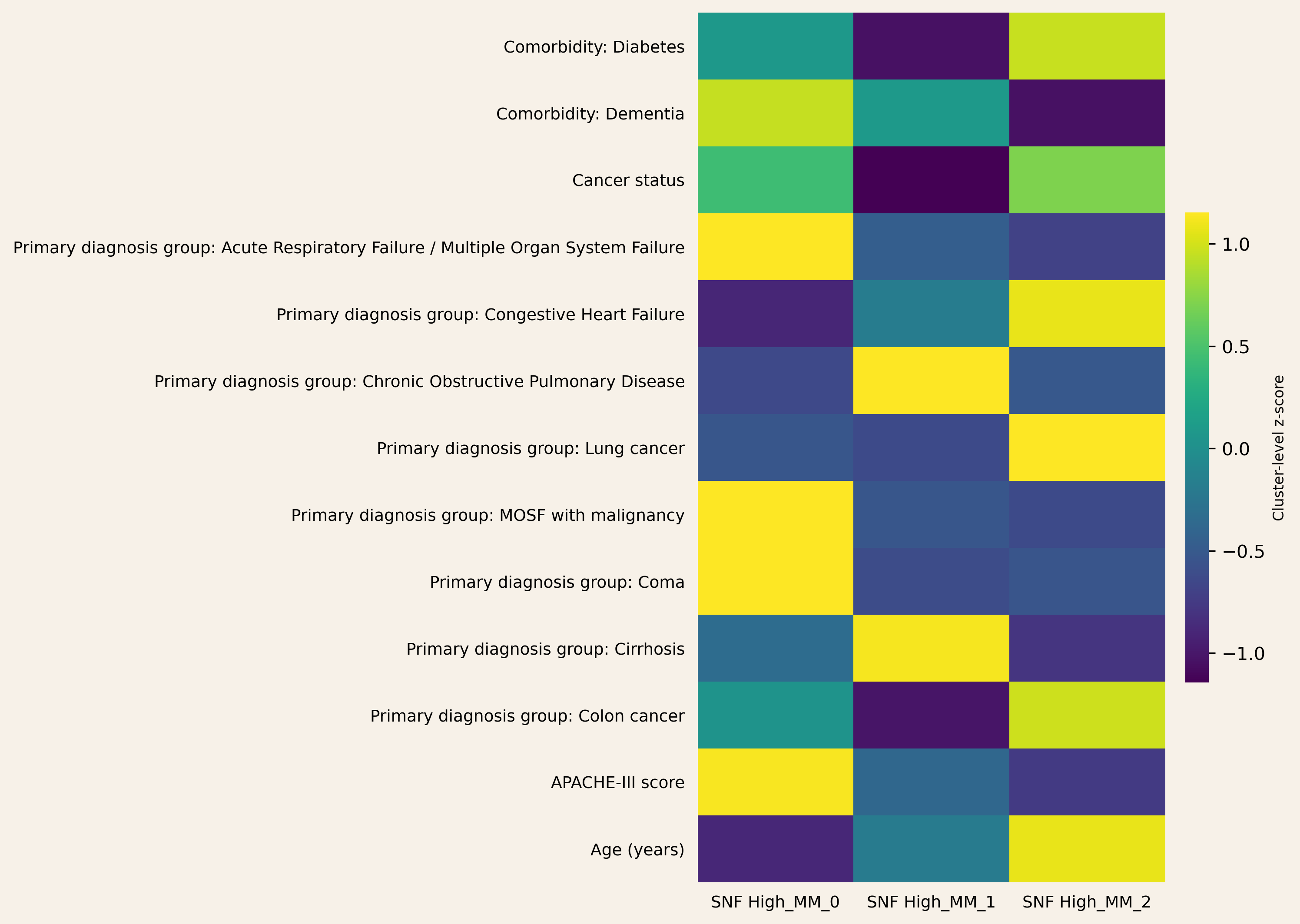SNF cluster profiles in the high multimorbidity stratum