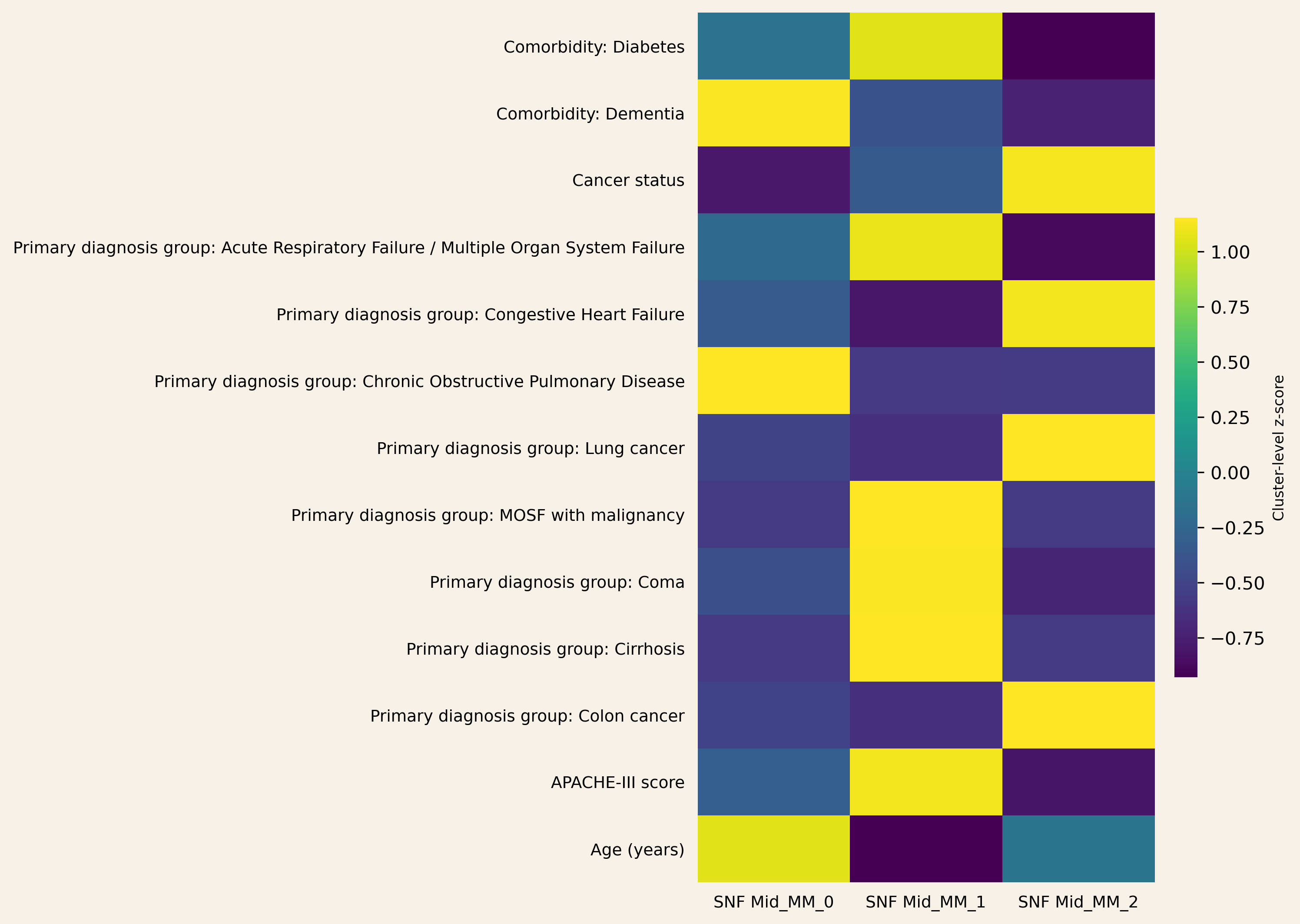 SNF cluster profiles in the mid multimorbidity stratum