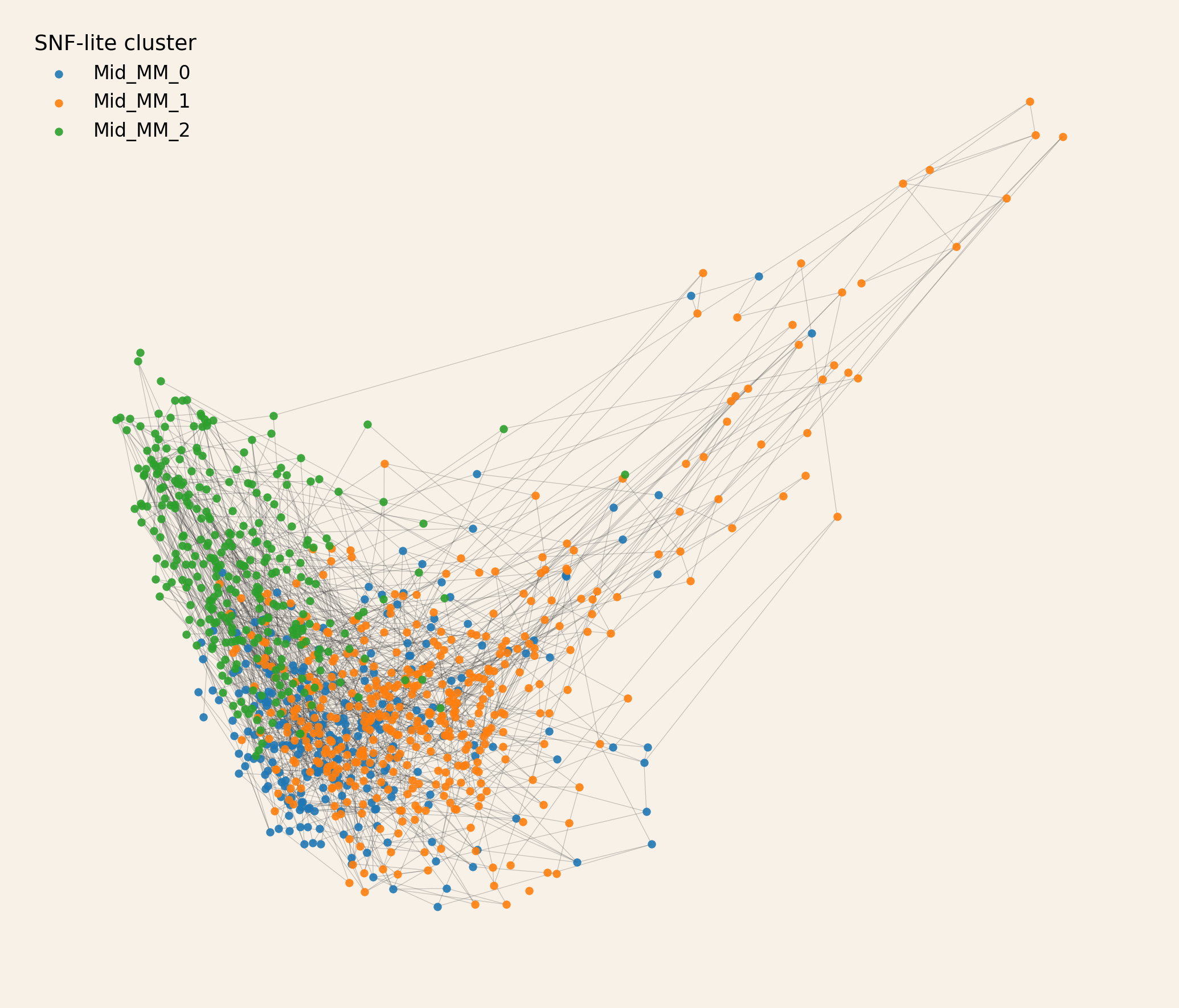 SNF-lite patient similarity network in the mid multimorbidity stratum
